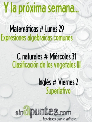 foto ¡Pocos trotes!