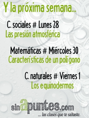 foto ¿Qué no lo entiendes?
